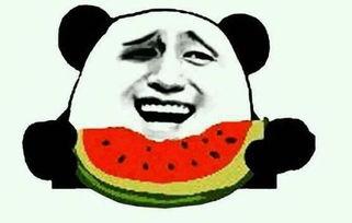 王二狗吃瓜视频大全下载,揭秘娱乐圈幕后故事