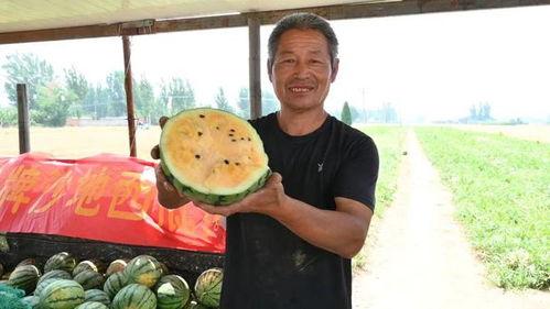 宁晋吃瓜事件最新情况视频,视频揭露惊人内幕