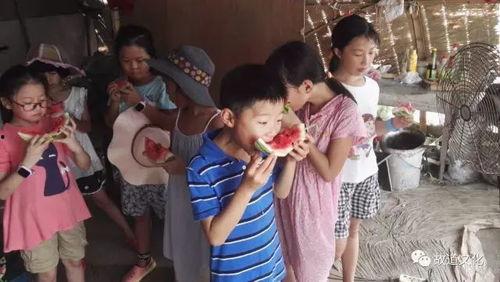 吃瓜群众焦急的视频