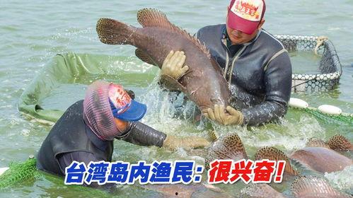 台湾岛渔民吃瓜视频,揭秘岛内渔村生活点滴