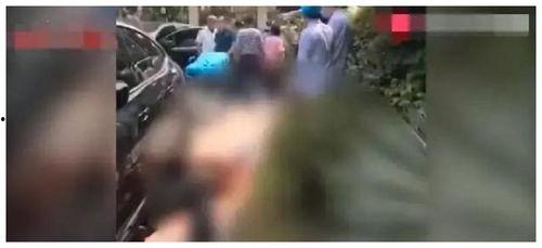 泰州吃瓜事件视频播放,网络热议背后的真相揭秘