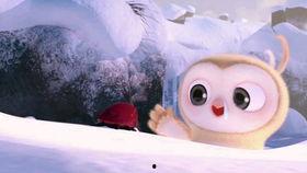 有趣的吃瓜比赛游戏视频,趣味吃瓜大赛精彩瞬间大盘点