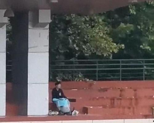 大堆围观吃瓜视频大全