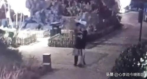 古街吃瓜完整视频,一场穿越时空的美食之旅