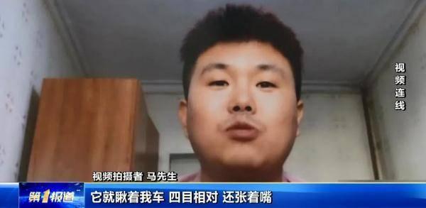 上班吃土瓜真实拍视频,趣味生活瞬间记录