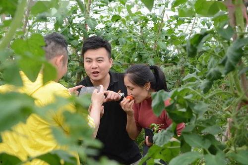 王大爷北湖吃瓜视频