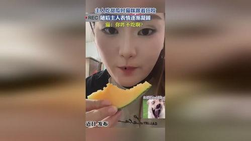 赛文主人吃瓜视频,揭秘娱乐圈幕后故事